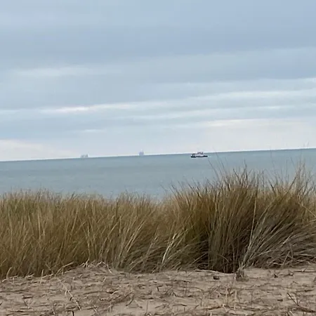 Dragonfly Chalet Burghorn Nyaraló