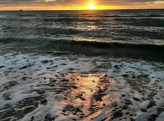 Semesterbostad Dragonfly Chalet Burghorn Schagen