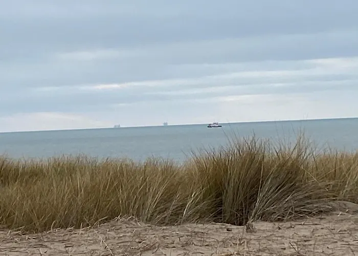 Dragonfly Chalet Burghorn Semesterbostad